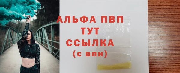 СК Абинск