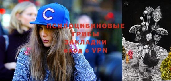 СК Абинск