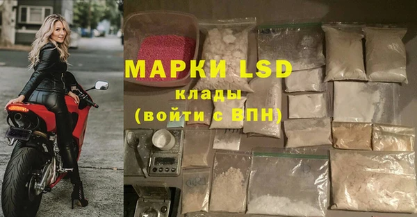 СК Абинск