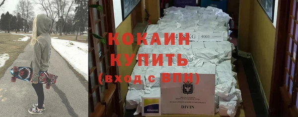 ГАЛЛЮЦИНОГЕННЫЕ ГРИБЫ Абаза
