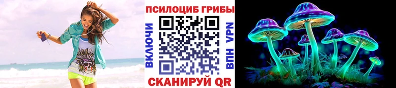 Псилоцибиновые грибы Cubensis  Исилькуль 